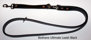 An image of the Biothane dog leash from The Ultimate Leash Biothane Series