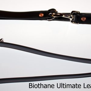 An image of the Biothane dog leash from The Ultimate Leash Biothane Series