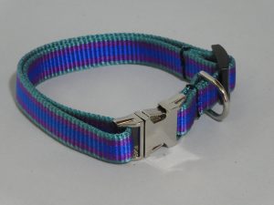 An image of a striped small dog collar from TheUltimateLeash.com