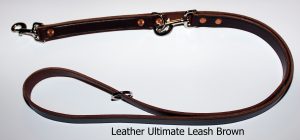 An image of a leather dog leash from The Ultimate Leash Leather Series