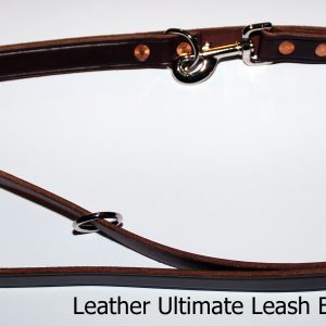 An image of a leather dog leash from The Ultimate Leash Leather Series