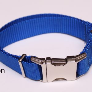 An image of a standard blue dog collar from TheUltimateLeash.com