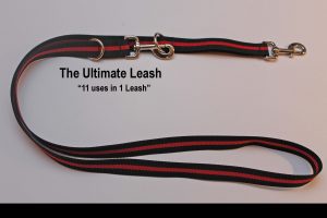 An image of a Red Line dog leash from TheUltimateLeash.com