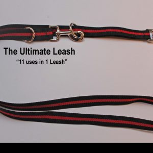 An image of a Red Line dog leash from TheUltimateLeash.com