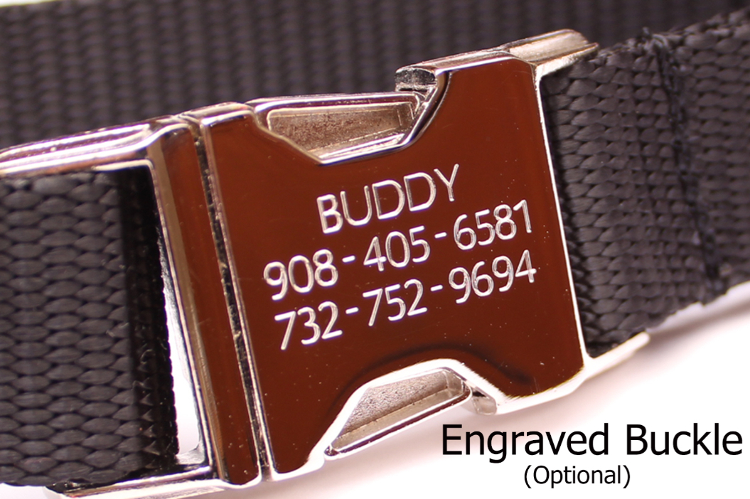 ba2475_c62db078432540b3a71a0d687c5f5995_mv2