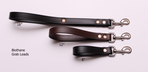 An image of three different-sized Biothane dog leads from TheUltimateLeash.com