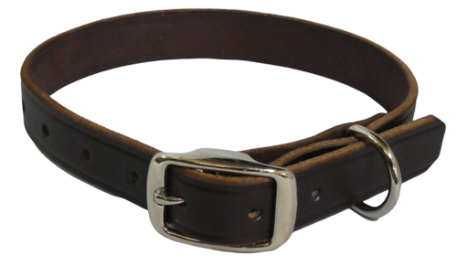 Martingale with leash set option Syracuse Orangeman University Dog Collar
