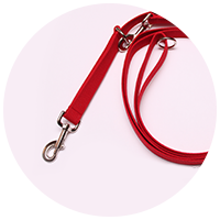 Dual Clasps - Ultimate Leash Icon