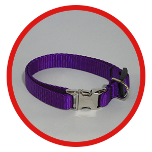 Standard Collars - Petite