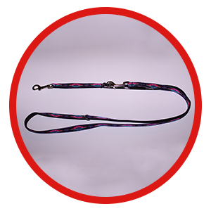 The Ultimate Leash - Petite