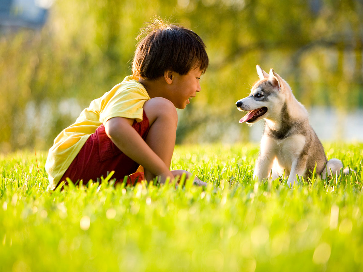 boy playing with dog in grass